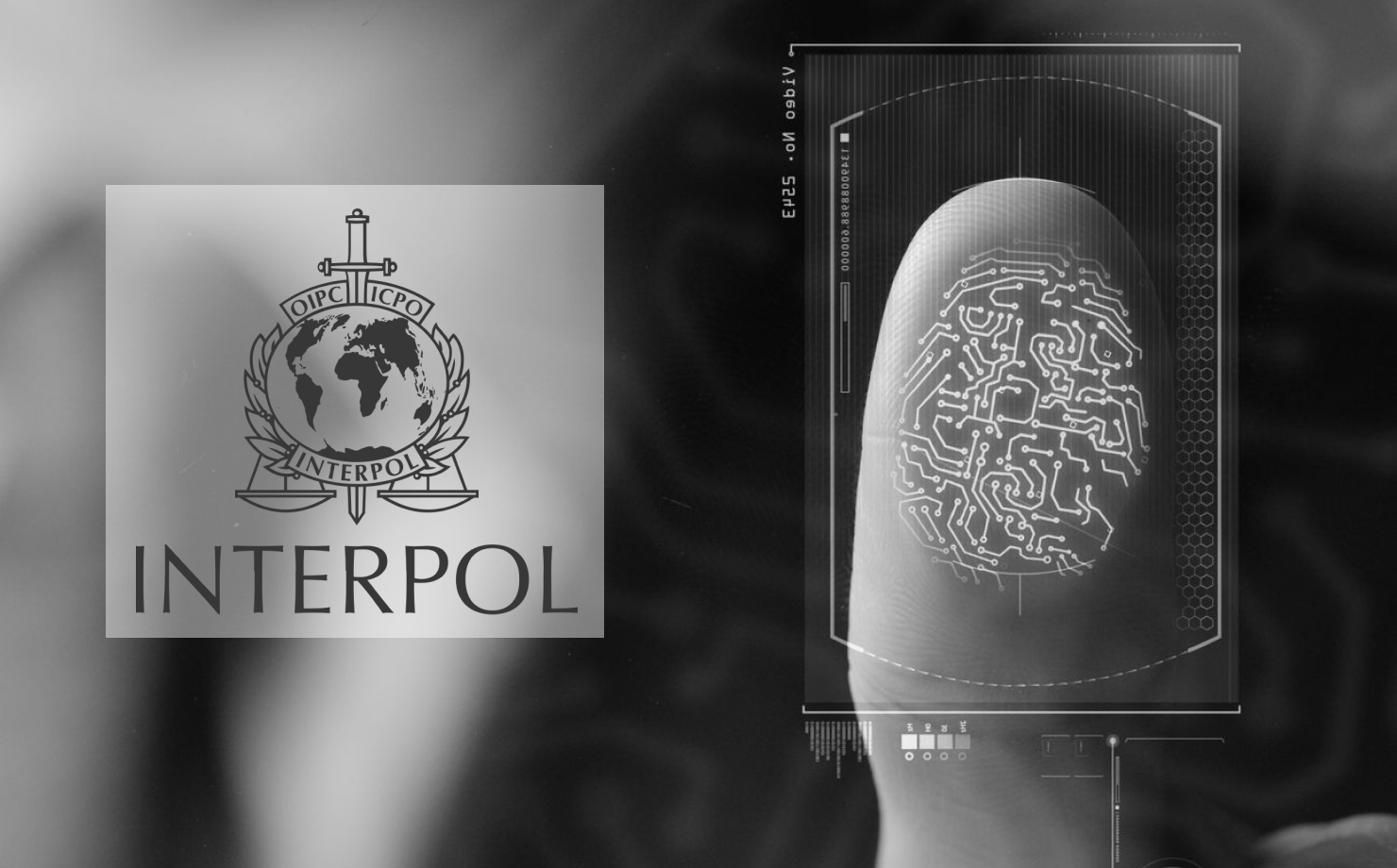 What is Interpol?