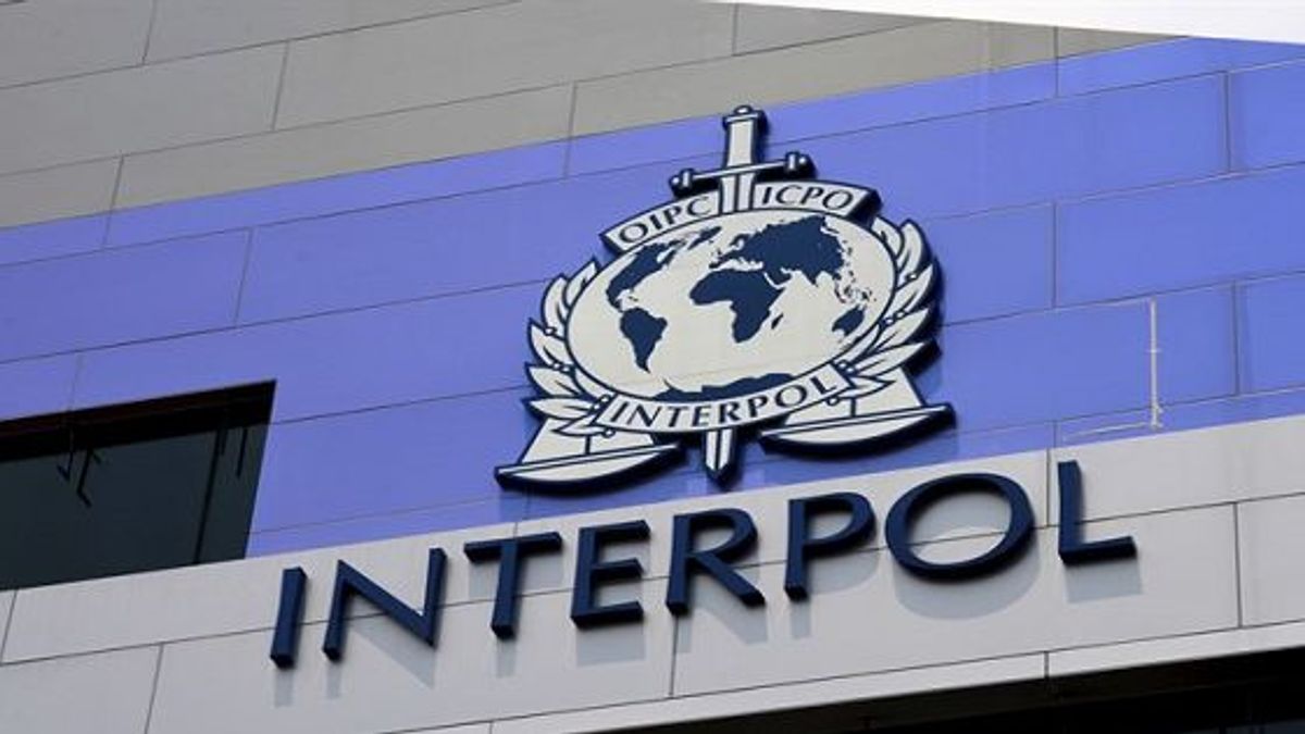 What crimes does Interpol deal with?