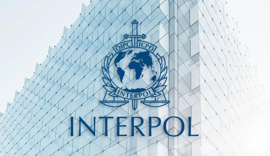 interpol lawyers